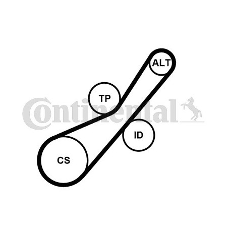 Kit de courroies d'accessoire CONTINENTAL CTAM
