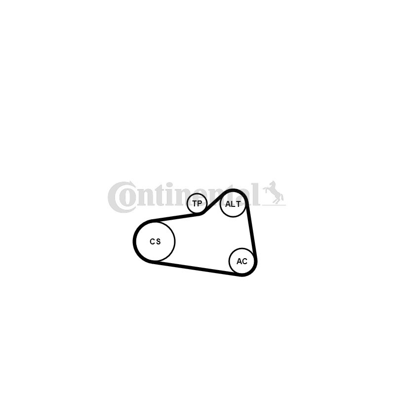 Kit de courroies d'accessoire CONTINENTAL CTAM