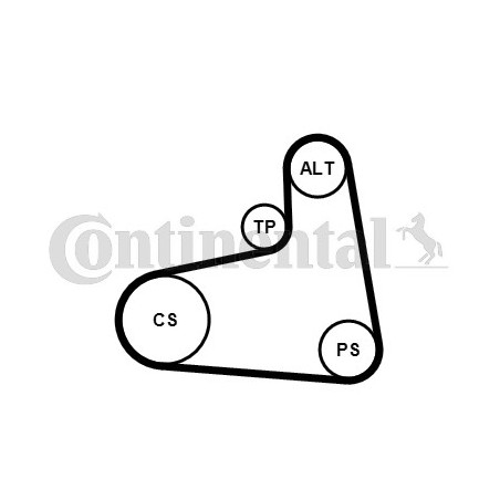 Kit de courroies d'accessoire CONTINENTAL CTAM