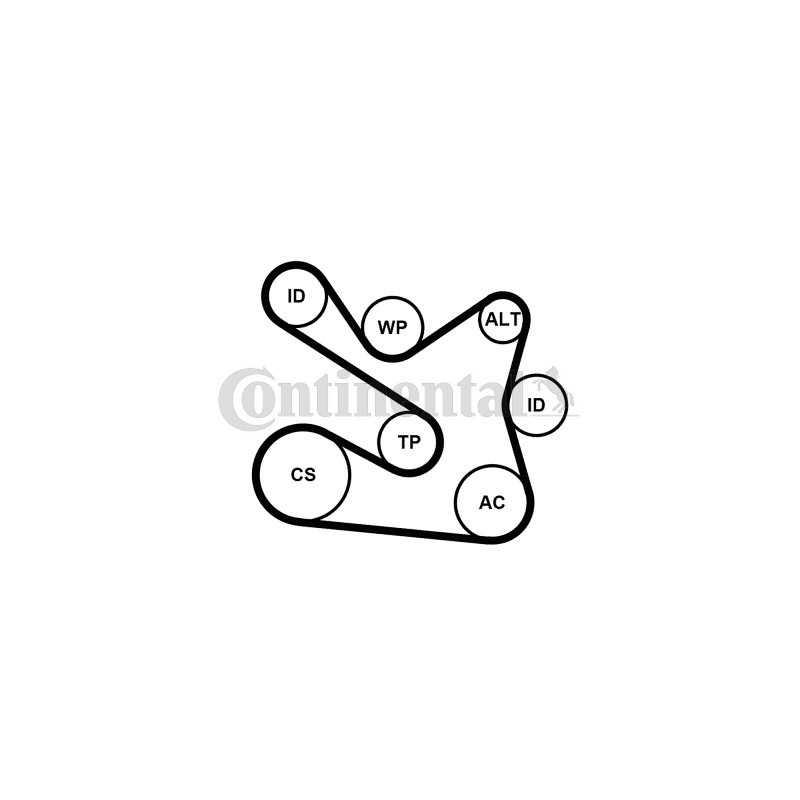 Kit de courroies d'accessoire CONTINENTAL CTAM