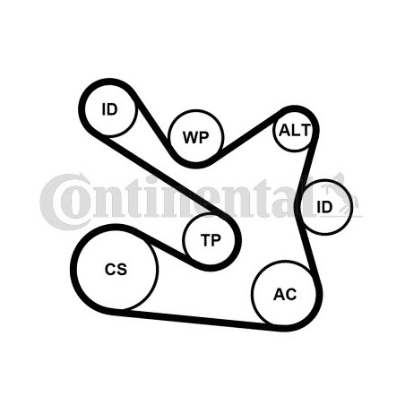Kit de courroies d'accessoire CONTINENTAL CTAM