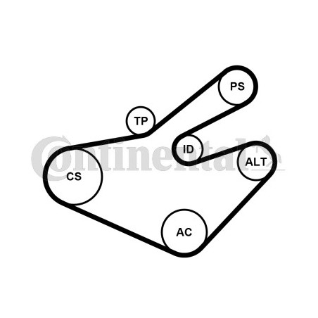 Kit de courroies d'accessoire CONTINENTAL CTAM