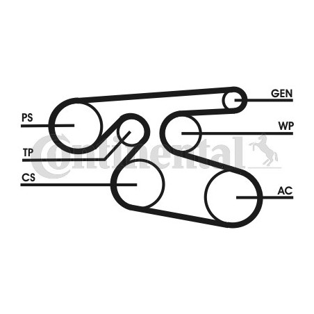 Courroie d'accessoire CONTINENTAL CTAM