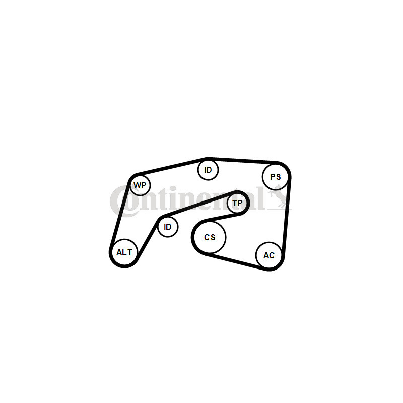 Kit de courroies d'accessoire CONTINENTAL CTAM