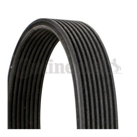 Courroie d'accessoire...