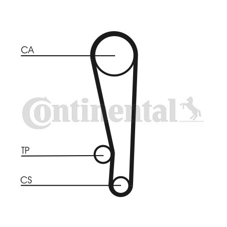 Courroie de distribution CONTINENTAL CTAM