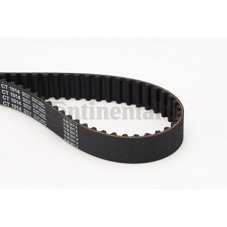 Courroie de distribution CONTINENTAL CTAM