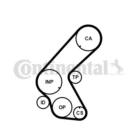 Courroie de distribution CONTINENTAL CTAM