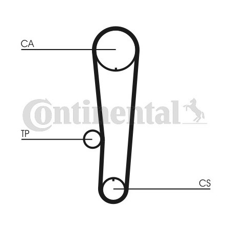 Courroie de distribution CONTINENTAL CTAM