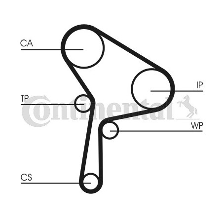 Courroie de distribution CONTINENTAL CTAM