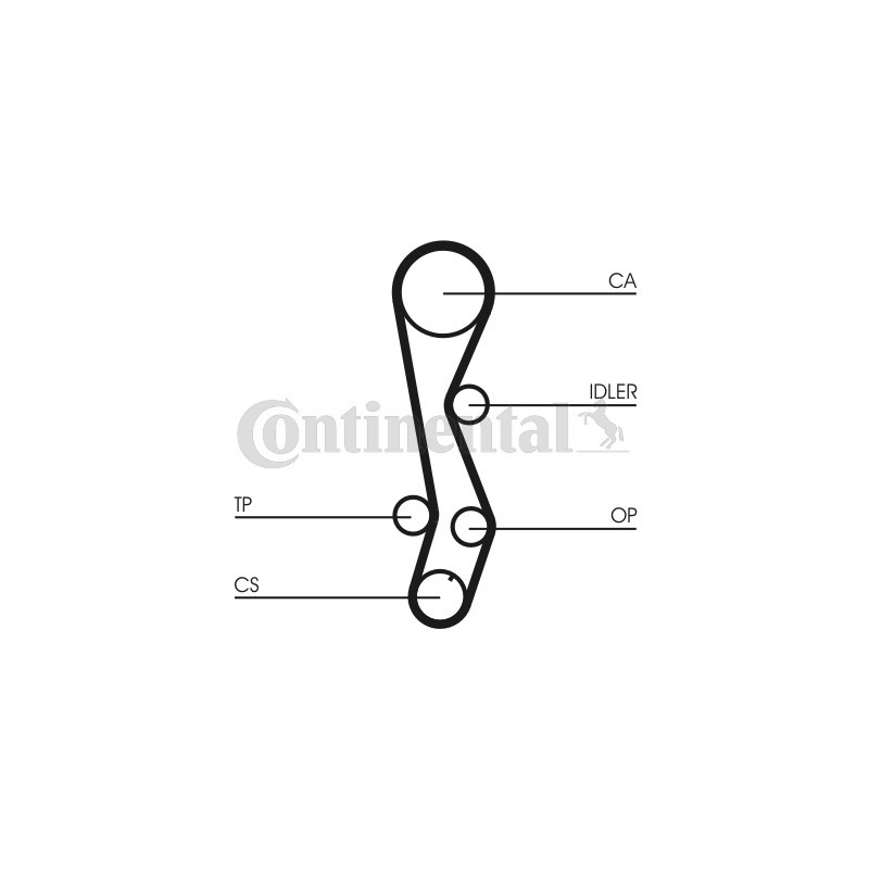 Courroie de distribution CONTINENTAL CTAM