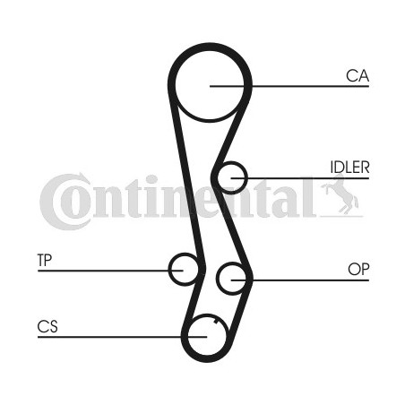 Courroie de distribution CONTINENTAL CTAM