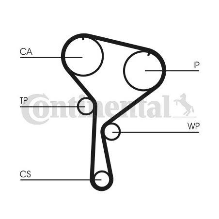 Kit de distribution + pompe à eau CONTINENTAL CTAM