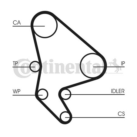 Courroie de distribution CONTINENTAL CTAM