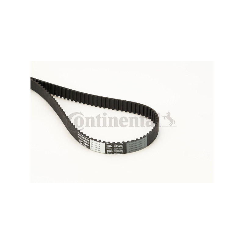 Courroie de distribution CONTINENTAL CTAM