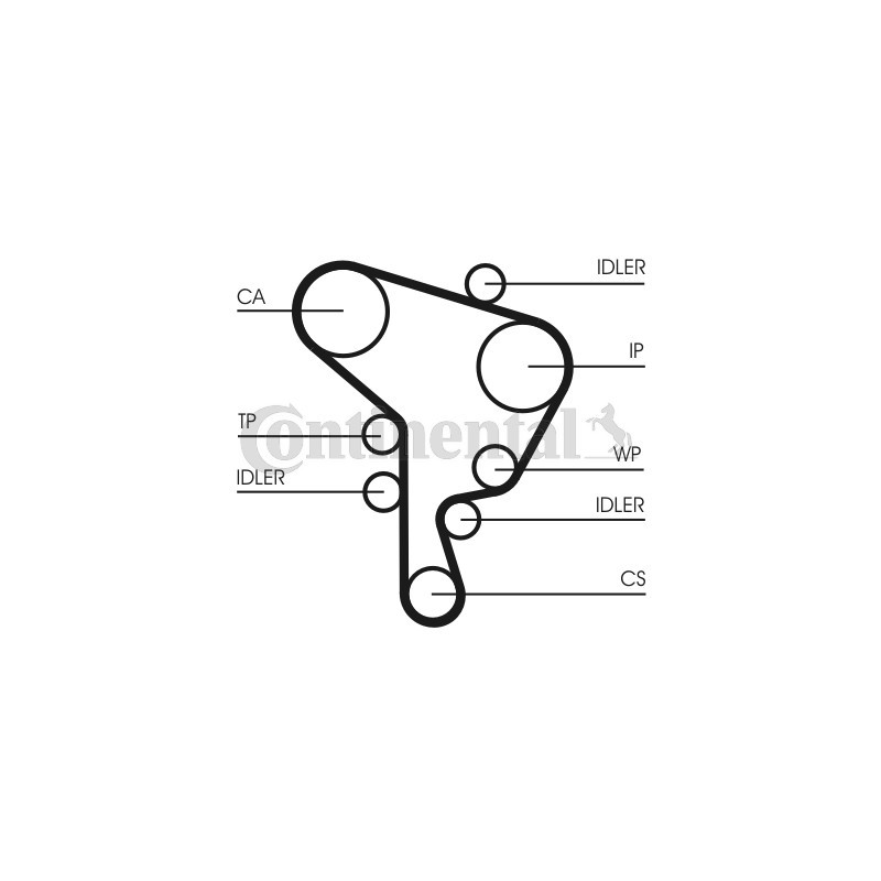 Kit de distribution + pompe à eau CONTINENTAL CTAM