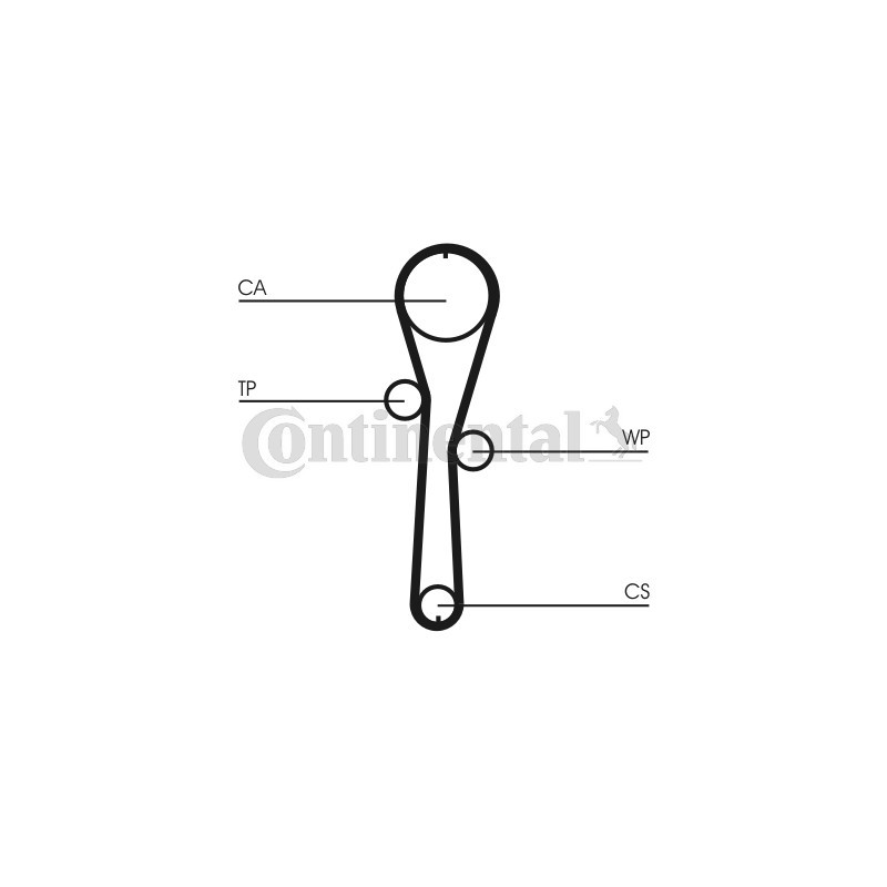 Kit de distribution + pompe à eau CONTINENTAL CTAM