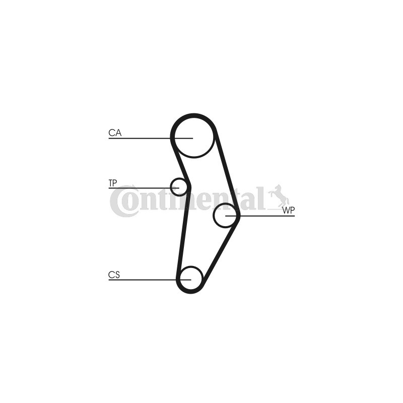 Kit de distribution + pompe à eau CONTINENTAL CTAM