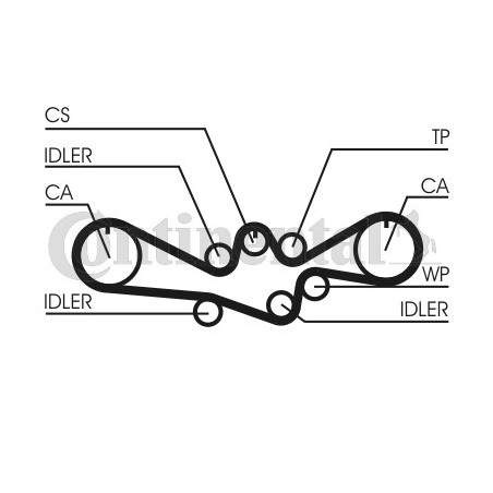 Courroie de distribution CONTINENTAL CTAM