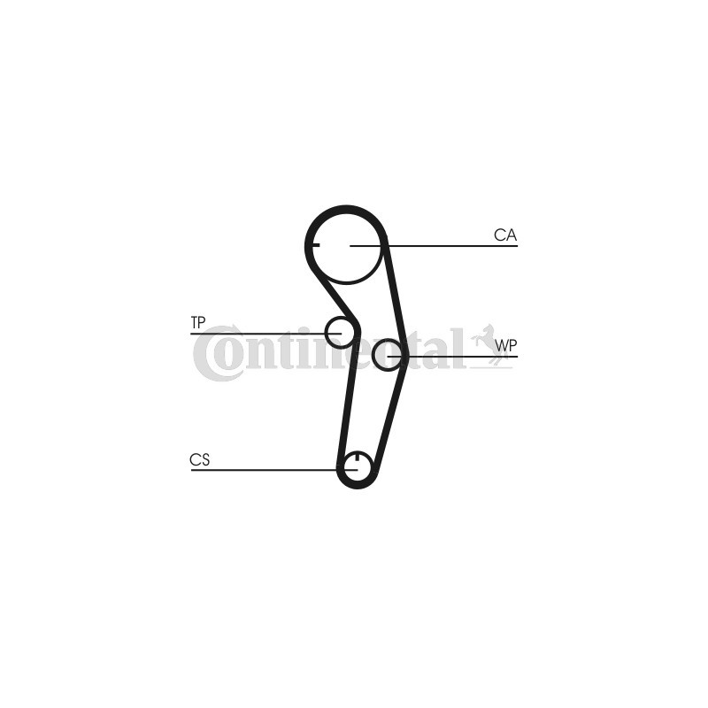 Kit de distribution CONTINENTAL CTAM