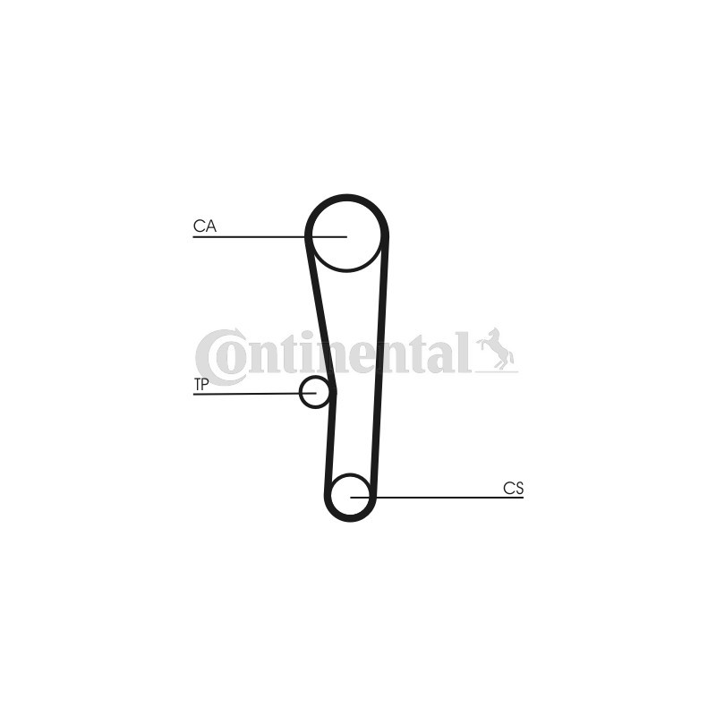 Courroie de distribution CONTINENTAL CTAM