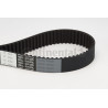 Courroie de distribution CONTINENTAL CTAM