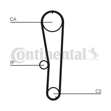 Courroie de distribution CONTINENTAL CTAM
