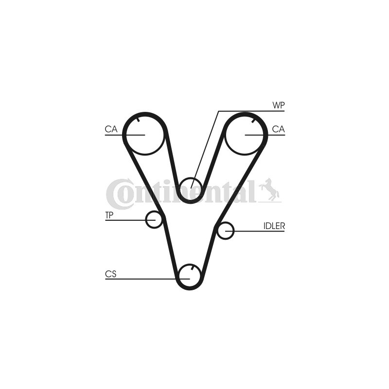 Courroie de distribution CONTINENTAL CTAM