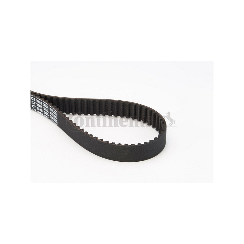 Courroie de distribution CONTINENTAL CTAM