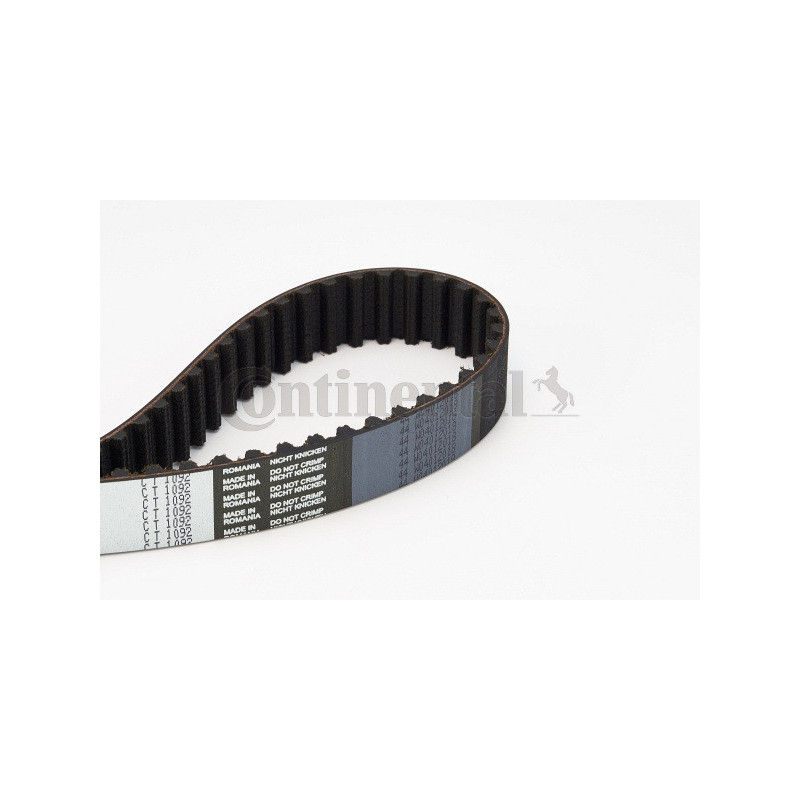 Courroie de distribution CONTINENTAL CTAM