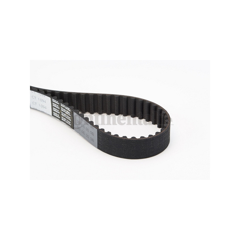 Courroie de distribution CONTINENTAL CTAM