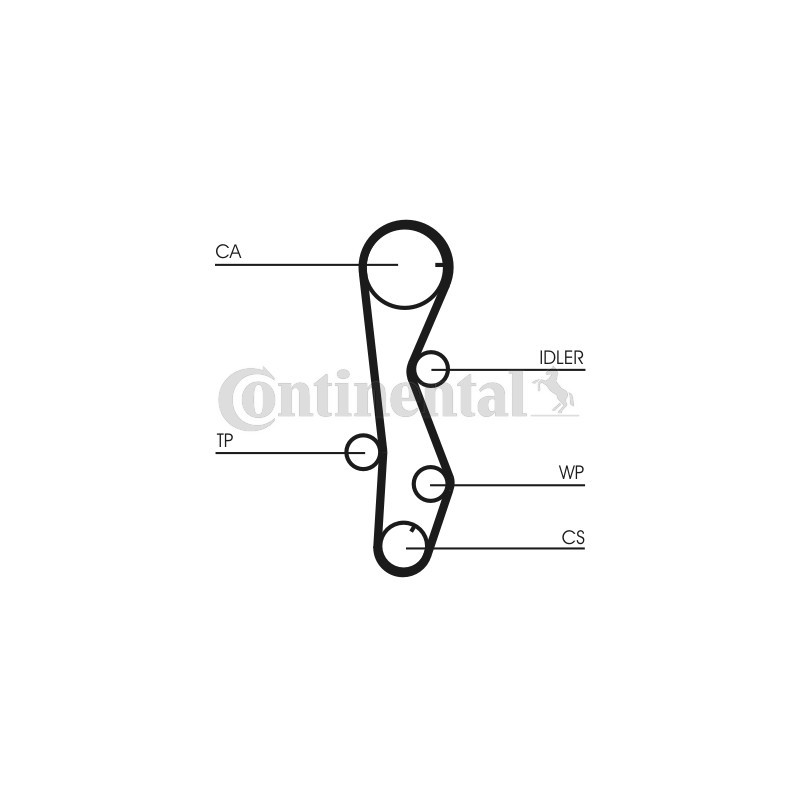 Courroie de distribution CONTINENTAL CTAM
