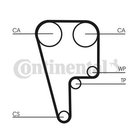 Courroie de distribution CONTINENTAL CTAM