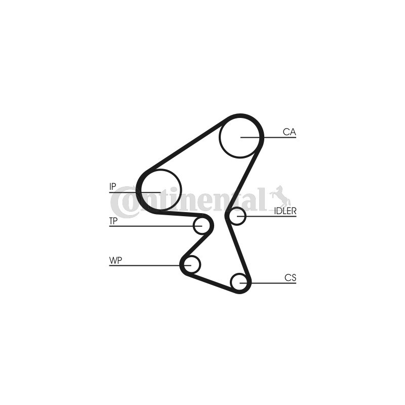 Courroie de distribution CONTINENTAL CTAM