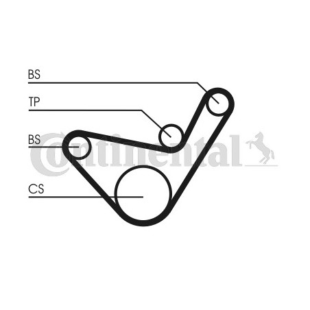 Courroie de distribution CONTINENTAL CTAM