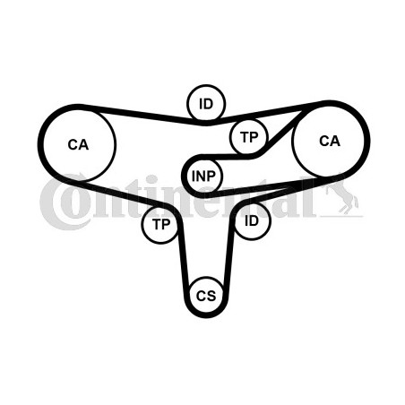 Kit de distribution CONTINENTAL CTAM