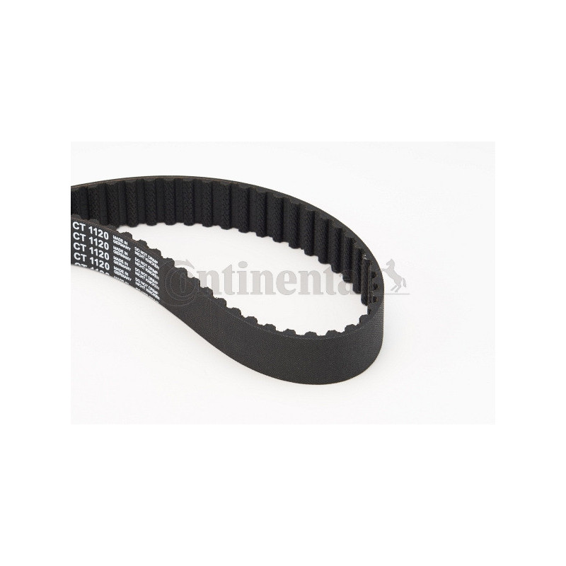 Courroie de distribution CONTINENTAL CTAM