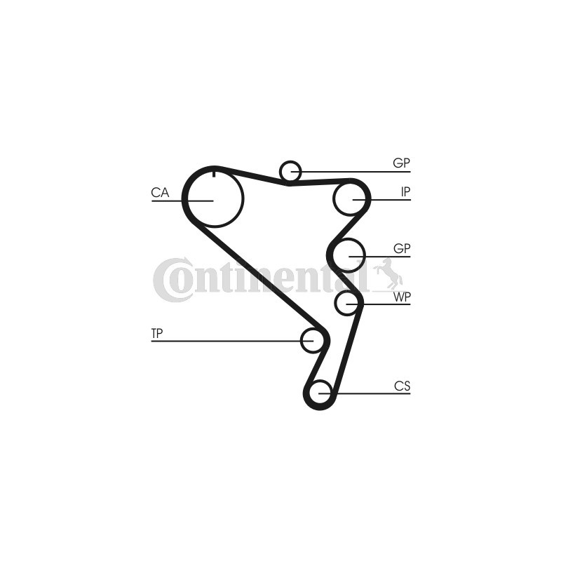 Courroie de distribution CONTINENTAL CTAM