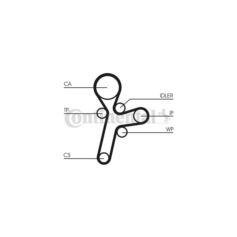 Kit de distribution + pompe à eau CONTINENTAL CTAM
