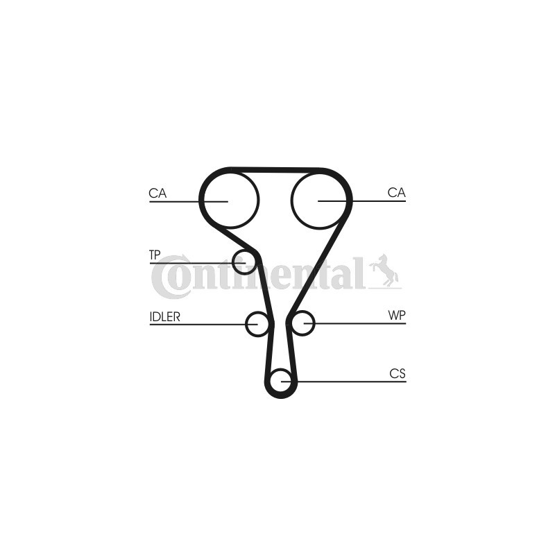Courroie de distribution CONTINENTAL CTAM