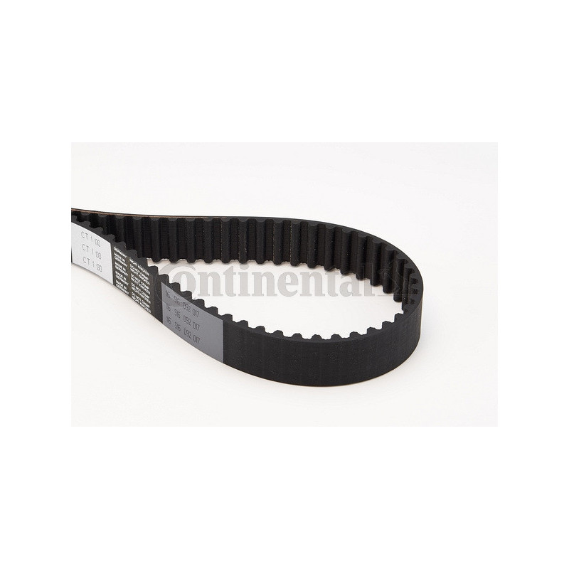 Courroie de distribution CONTINENTAL CTAM