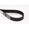 Courroie de distribution CONTINENTAL CTAM