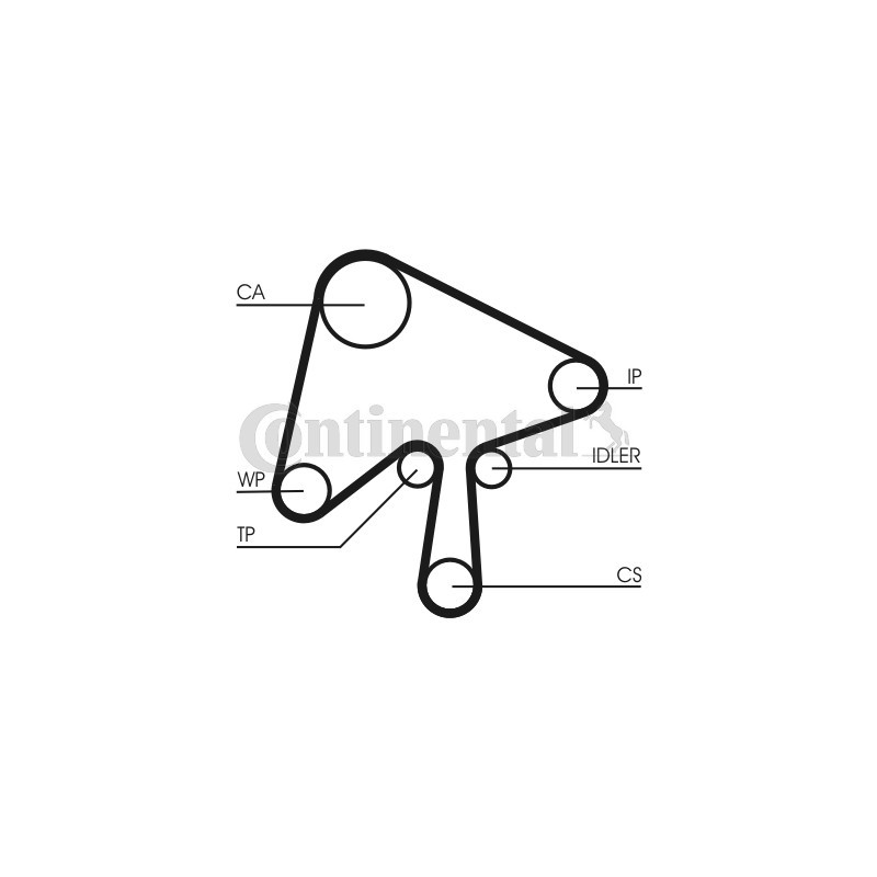 Courroie de distribution CONTINENTAL CTAM
