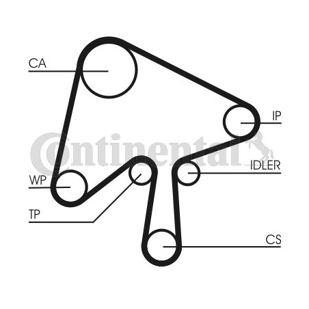 Kit de distribution + pompe à eau CONTINENTAL CTAM