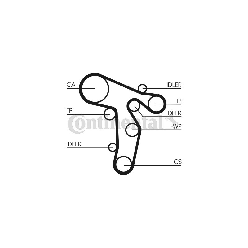 Courroie de distribution CONTINENTAL CTAM