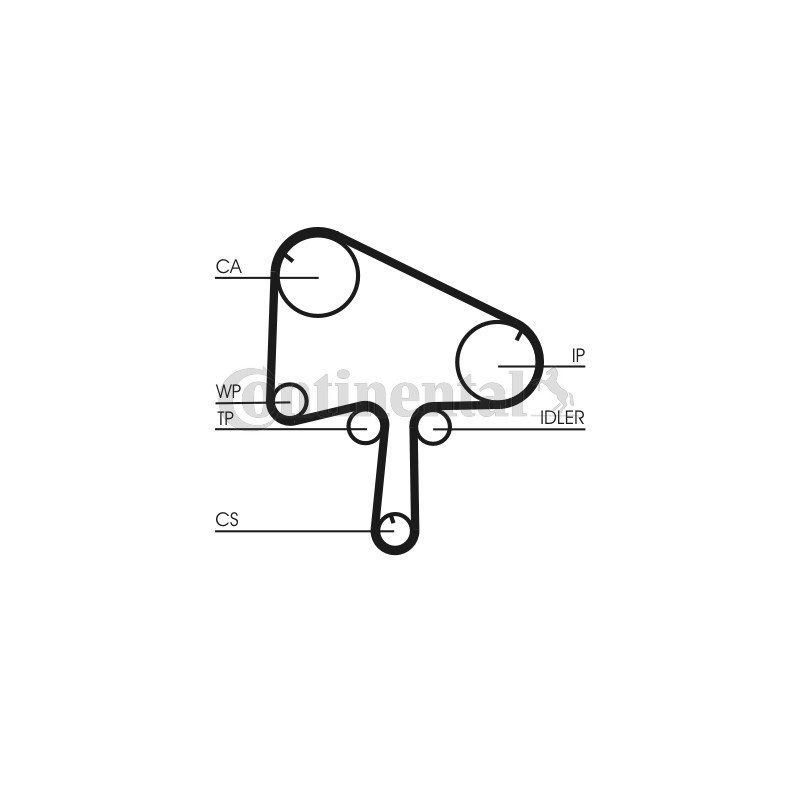 Kit de distribution + pompe à eau CONTINENTAL CTAM