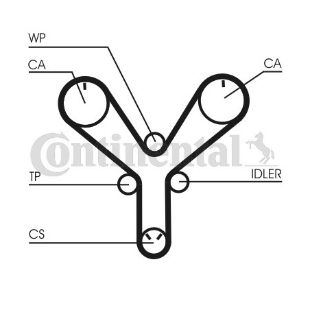 Courroie de distribution CONTINENTAL CTAM