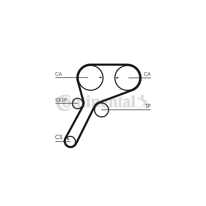 Courroie de distribution CONTINENTAL CTAM