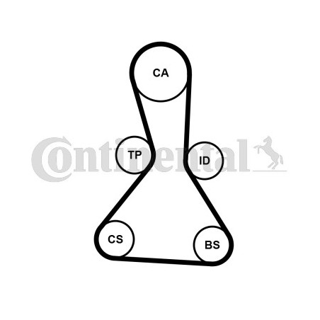 Courroie de distribution CONTINENTAL CTAM