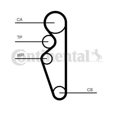 Courroie de distribution CONTINENTAL CTAM